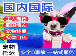 上海浦东航空快递国际宠物托运 【国